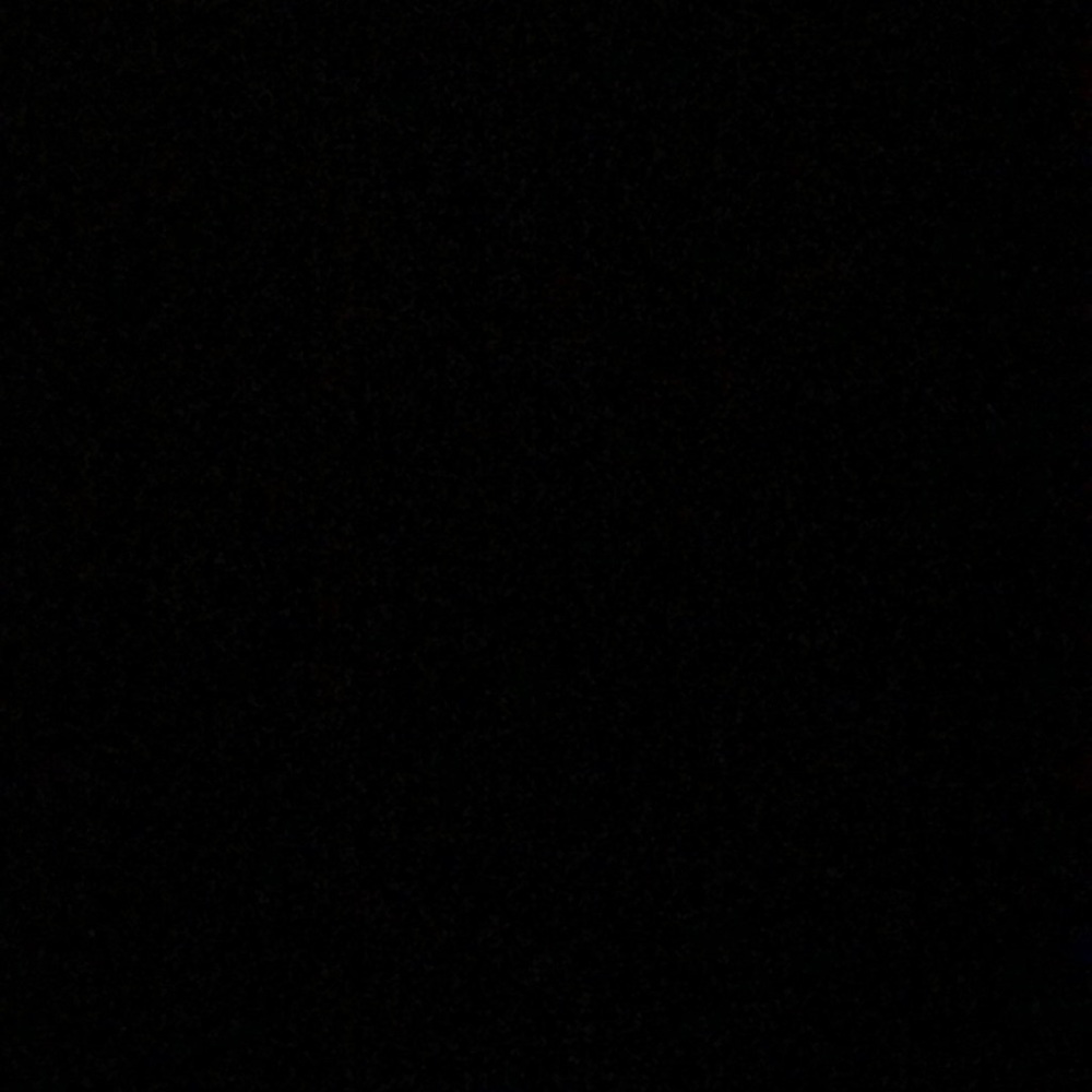 Meet your Posher, Izzy